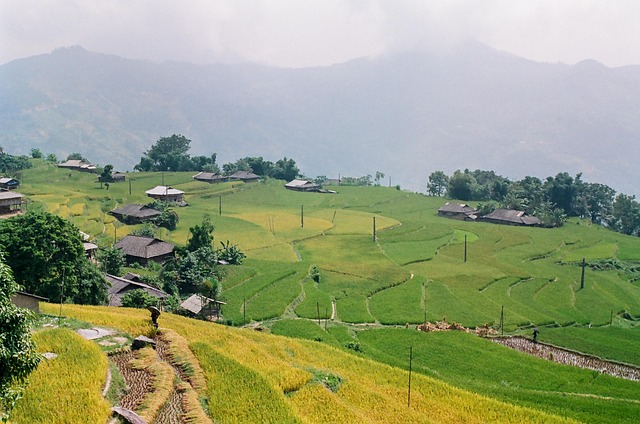 Free Landscape Nature photo and picture