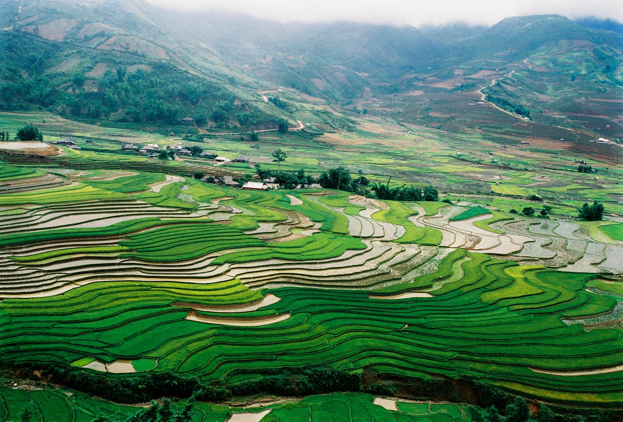 景观 农业 水稻梯田 - Pixabay上的免费照片 - Pixabay