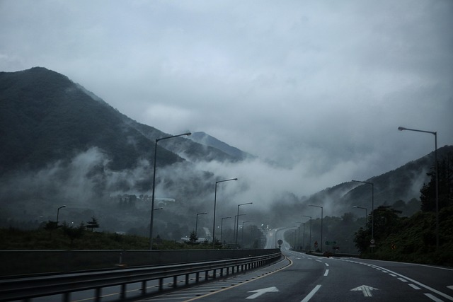 Free Road Fog photo and picture