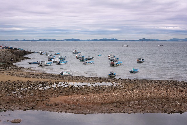 Free Ocean Boats photo and picture