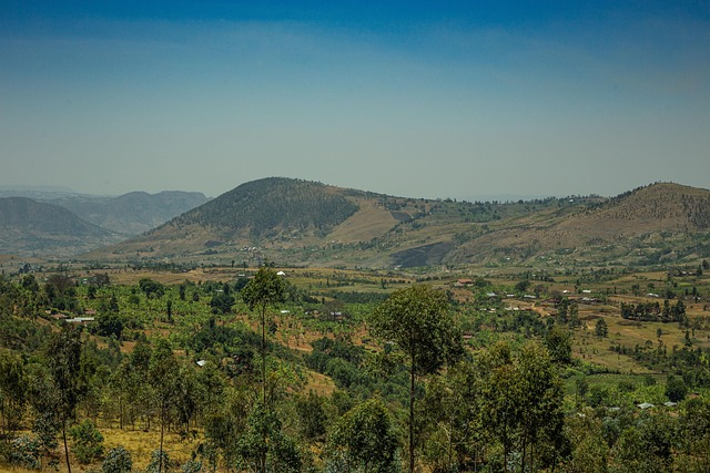 Free Landscape Nature photo and picture