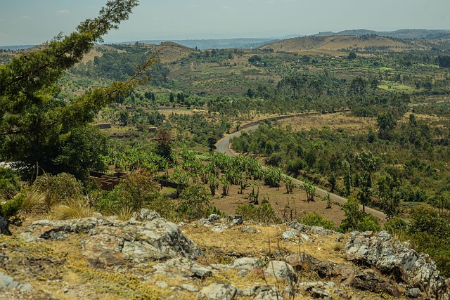 Free Landscape Nature photo and picture
