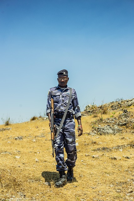 Free Soldier Guard photo and picture