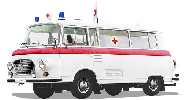 Free barkas b1000 from 1961 illustration