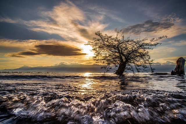 Free Burundi Tanganyika photo and picture