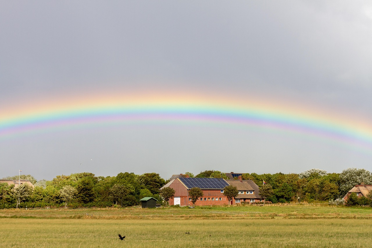 Rainbow - free online jigsaw puzzle photo