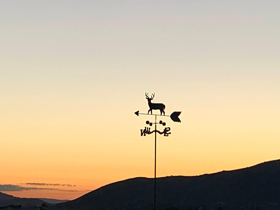 Weathervane Direction Storm Free photo on Pixabay Pixabay