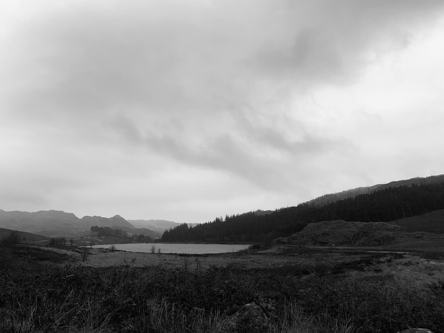 Free Nature Lake photo and picture