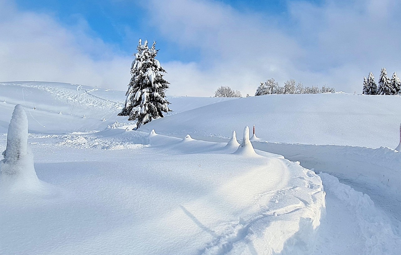 雪 霜 冬天 - Pixabay上的免费照片 - Pixabay