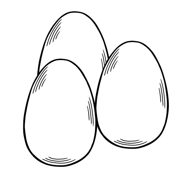 Free eggs poultry protein illustration