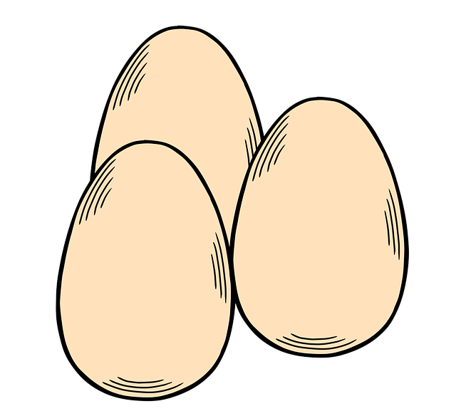 Free eggs poultry protein illustration