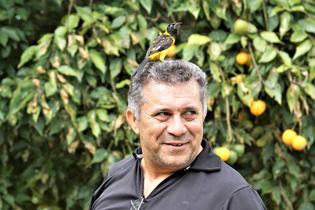 Free Man Bird photo and picture