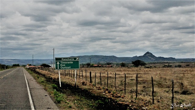 Free Minas Brazil photo and picture