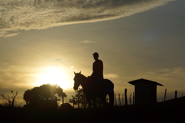 Free Horse Cowboy photo and picture