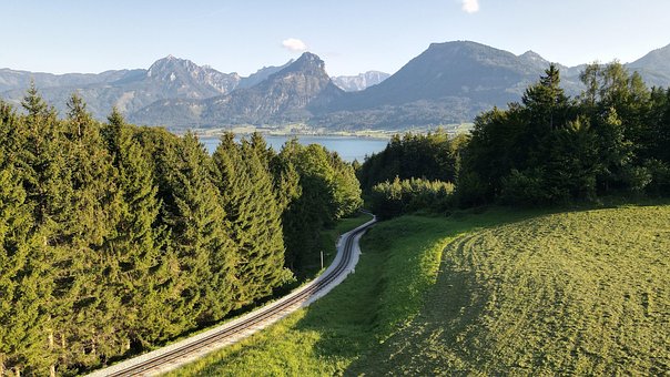 Free Trees Nature photo and picture