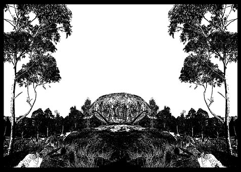 Free Black And White Trees photo and picture