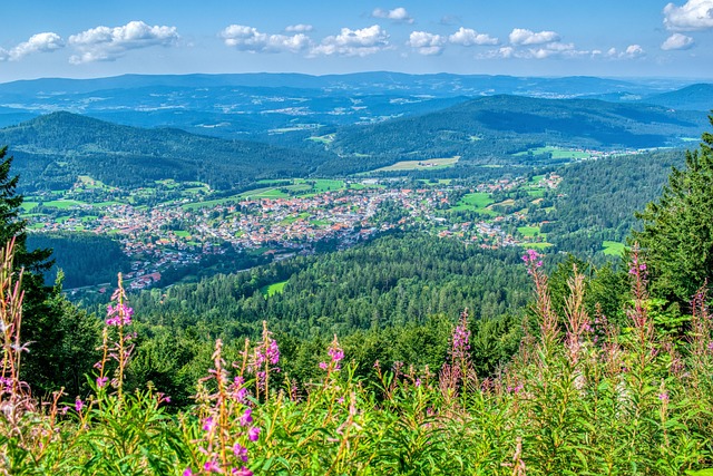 Free Mountains Bavarian Forest photo and picture