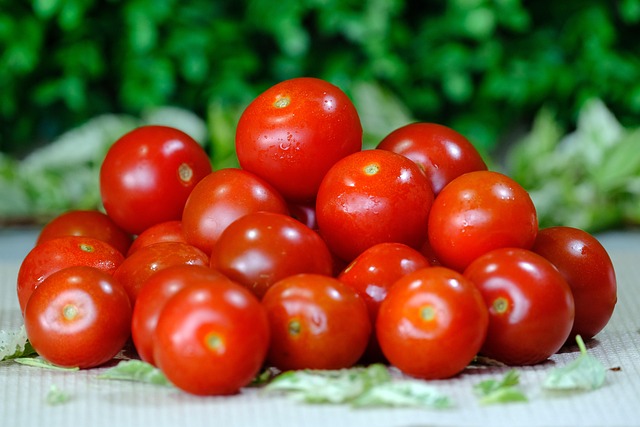 Free Cherry Tomatoes Tomatoes photo and picture