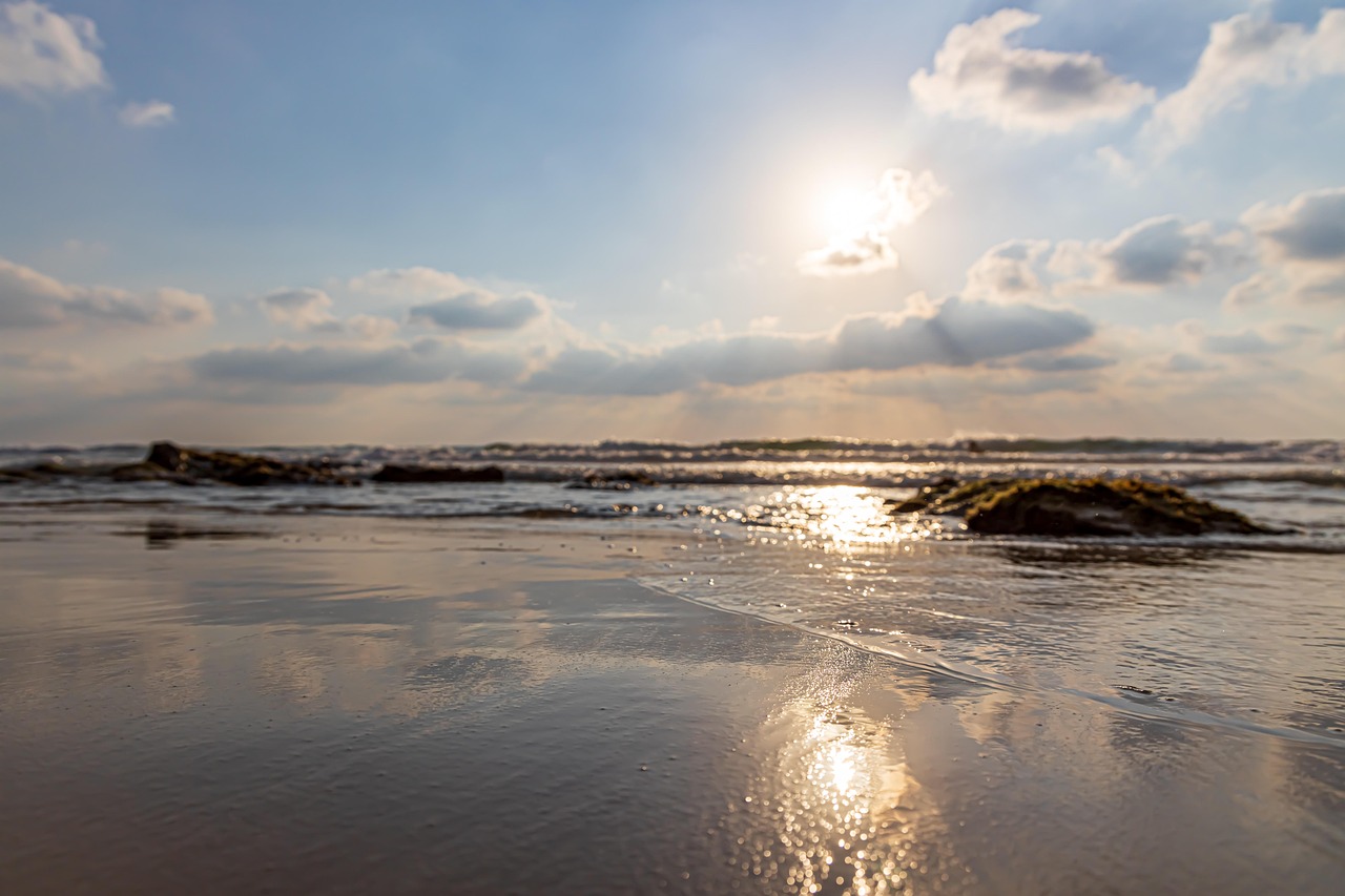 Nature Photography Wildlife - Free photo on Pixabay - Pixabay
