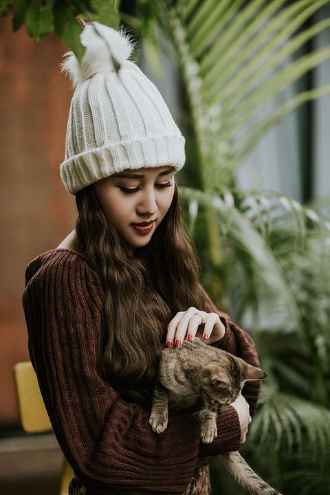 Girl Cat Pet Knitted Free photo on Pixabay