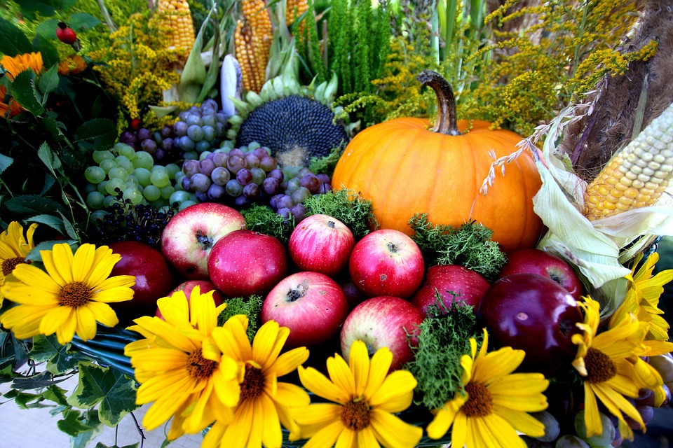 Harvest Autumn Season - Free photo on Pixabay - Pixabay