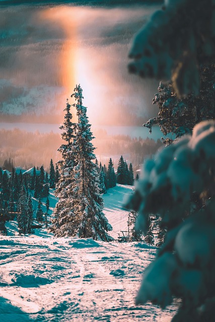 Natur, Vinter, Sne, Sæson, Udendørs