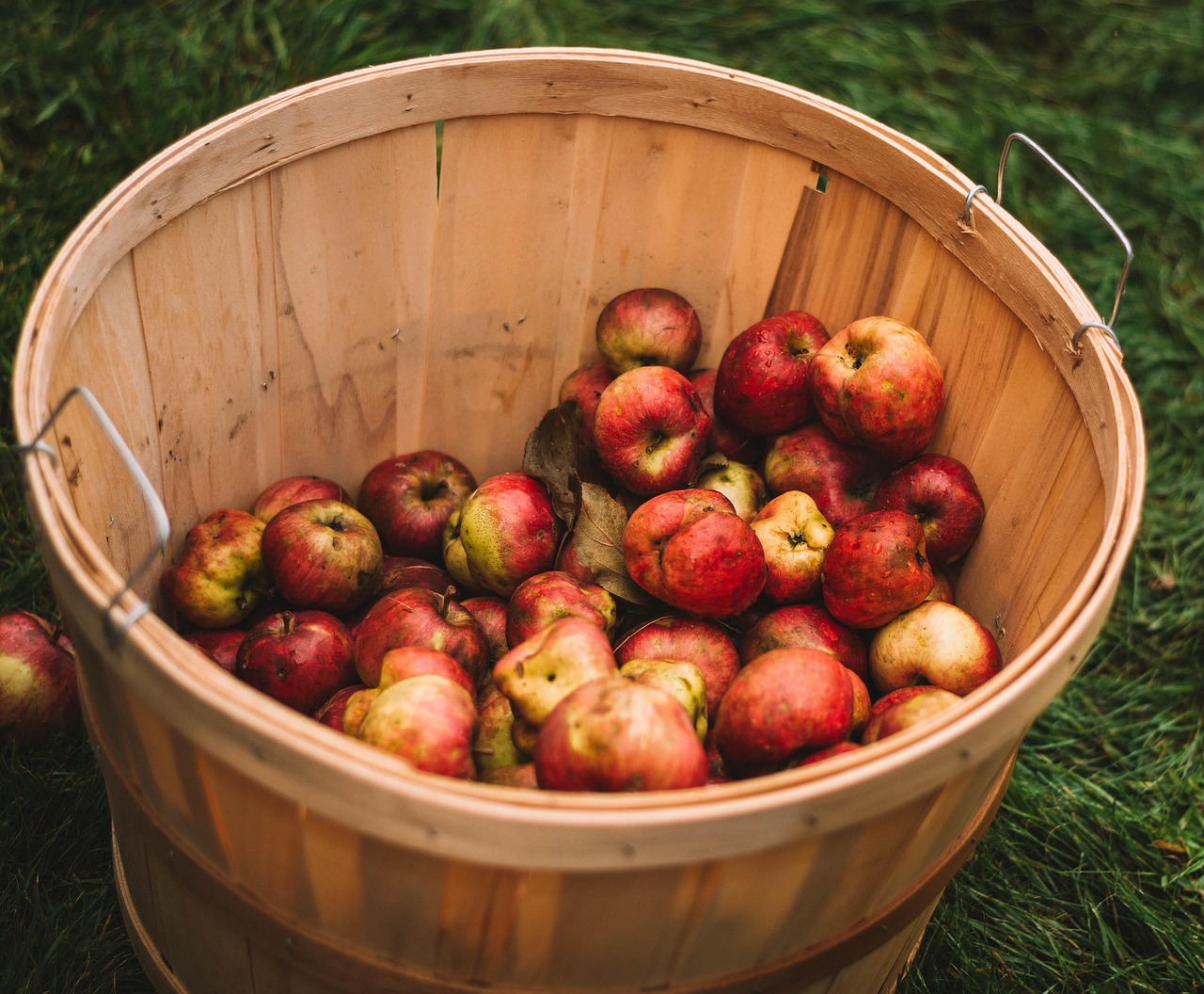 Äpfel Apfelweinherstellung Früchte - Kostenloses Foto auf Pixabay - Pixabay