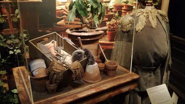 Free Potter Harry photo and picture