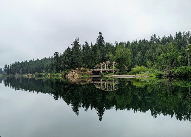 Free Bridge River photo and picture