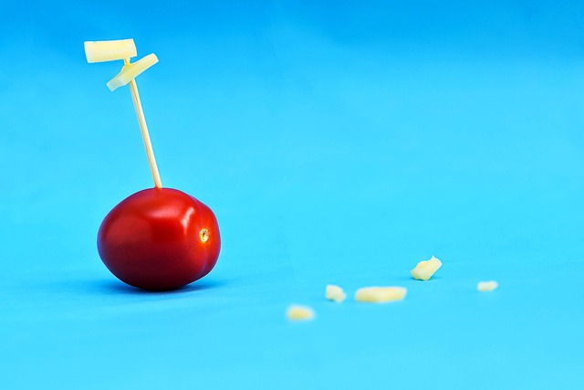 Free Tomato Cheese photo and picture