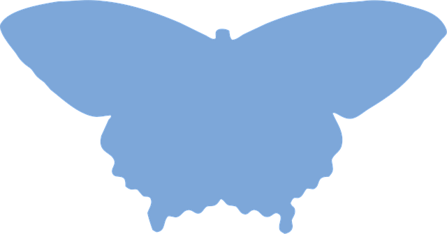 Schmetterling, Tier, Natur, Insekt