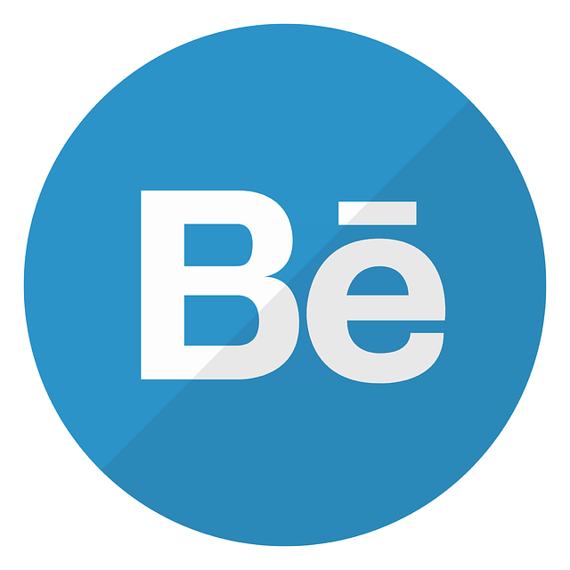 Behance, Sozial, Vernetzung