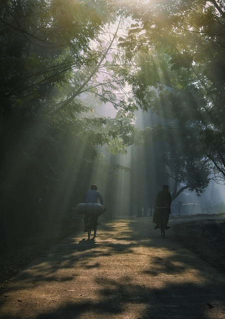 Free Nature Outdoors photo and picture