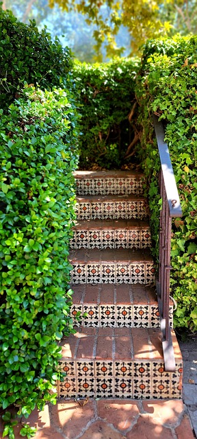 Free Staircase Rise photo and picture