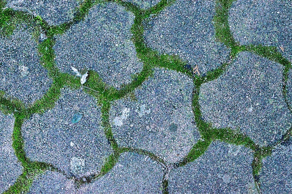 纹理 土壤 区域 - Pixabay上的免费照片 - Pixabay