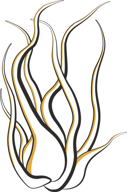 Free Airplant Tillandsia illustration and picture