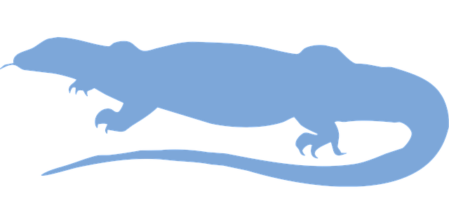 Free lizard reptile animal vector