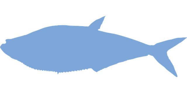 Free fish vertebrate ocean vector