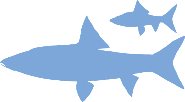 Free fish vertebrate ocean vector