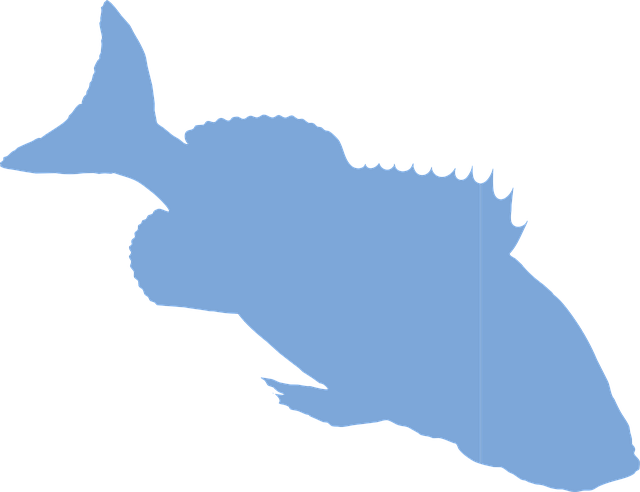 Free fish vertebrate ocean vector