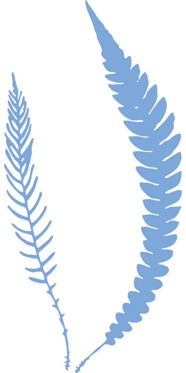 blue fern leaves on black background clip art preview