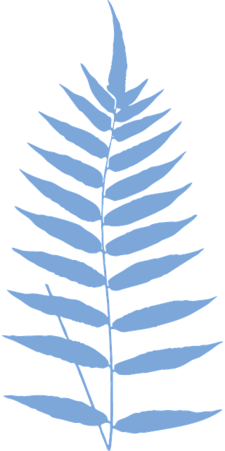 Free fern plant foliage vector