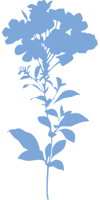 Blumen, Pflanze, Wildblumen, Embryophyt