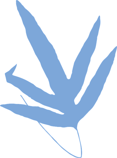 Blätter, Laub, Blau, Embryophyt