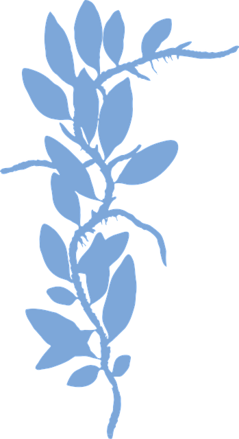 Blätter, Laub, Embryophyt