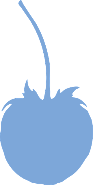 Obst, Beere, Blau, Ausgeschnitten