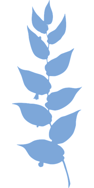 Free plant flora nature vector