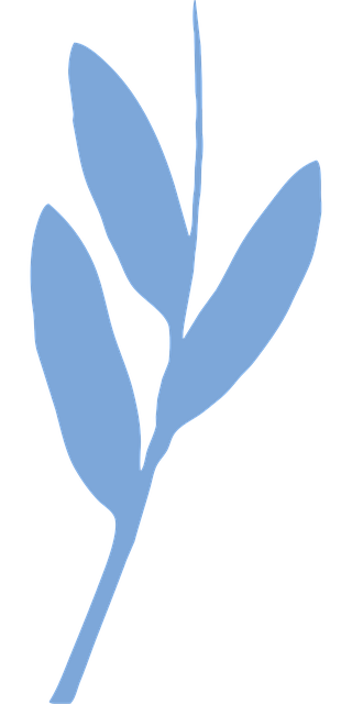 Free plant flora silhouette vector