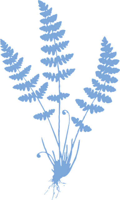 Free plant flora silhouette vector