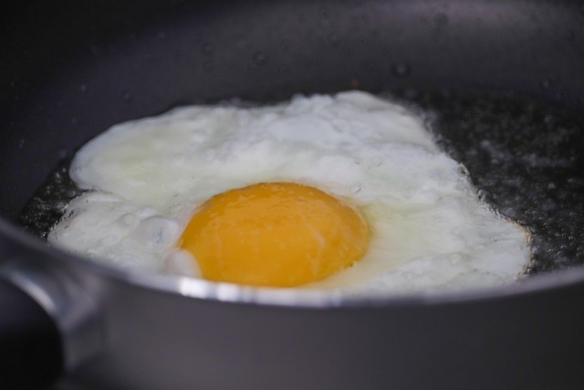 Free Egg Protein photo and picture
